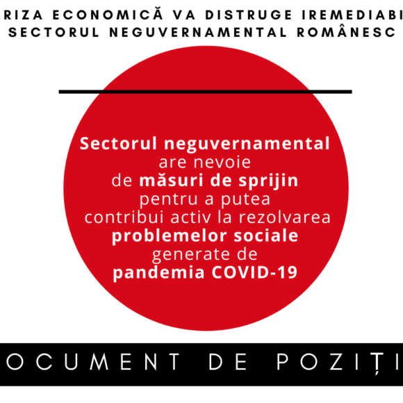 Criza economică va distruge iremediabil sectorul neguvernamental. Cerem sprijinul Guvernului pentru a ne continua misiunea socială